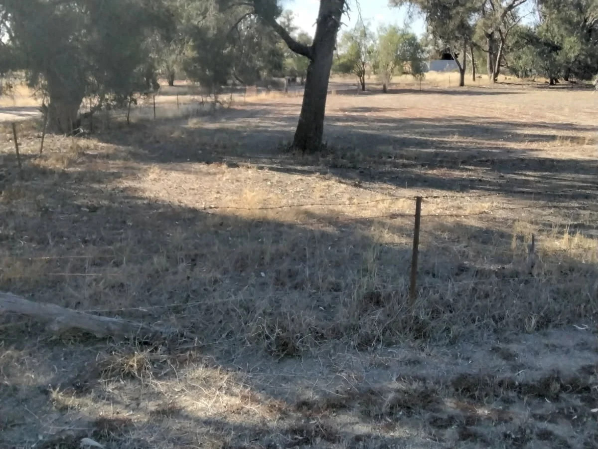 3 Herbert Street, Collarenebri NSW 2833