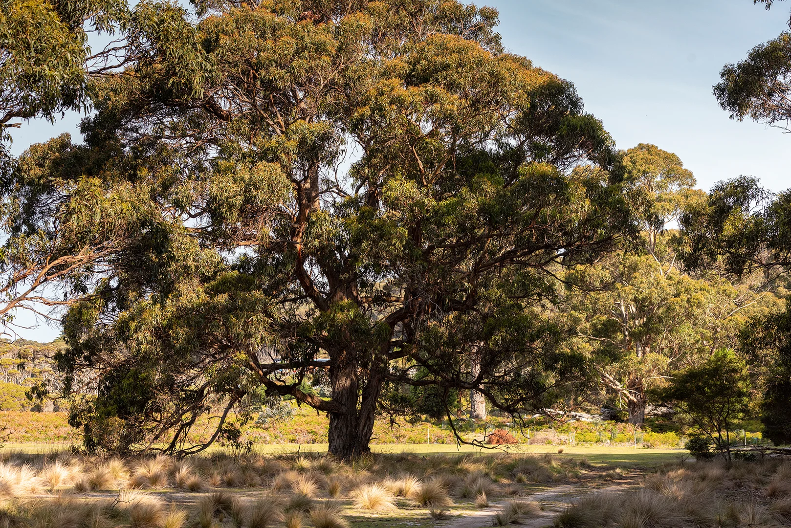 Additional image 17 of . Killiecrankie Road, Killiecrankie TAS 7255