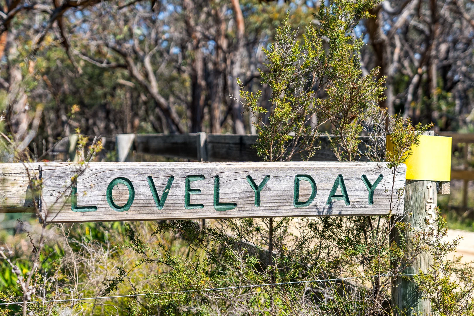 Additional image 29 of 130 Jarosite Road, Bells Beach VIC 3228