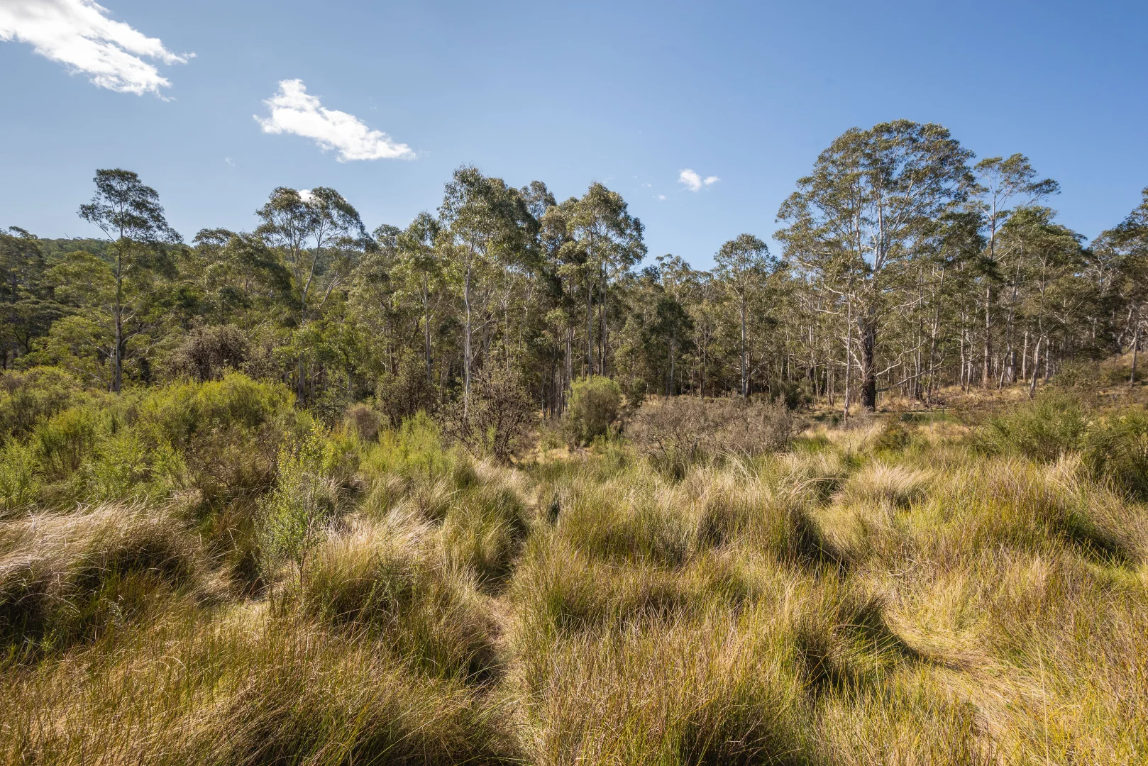 Additional image 30 of 153 Blue Bush Road, Wyanbene NSW 2622