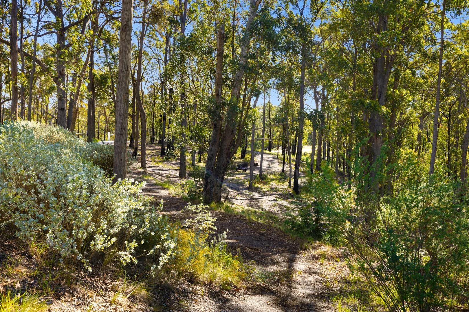 Additional image 30 of 65 Turners Road, Clifton Creek VIC 3875