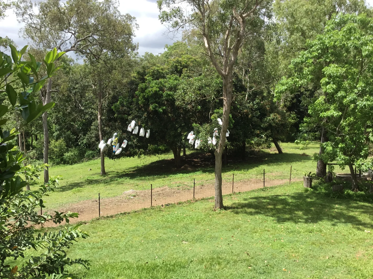 Additional image 5 of 39 Fryers Road, Hervey Range QLD 4817