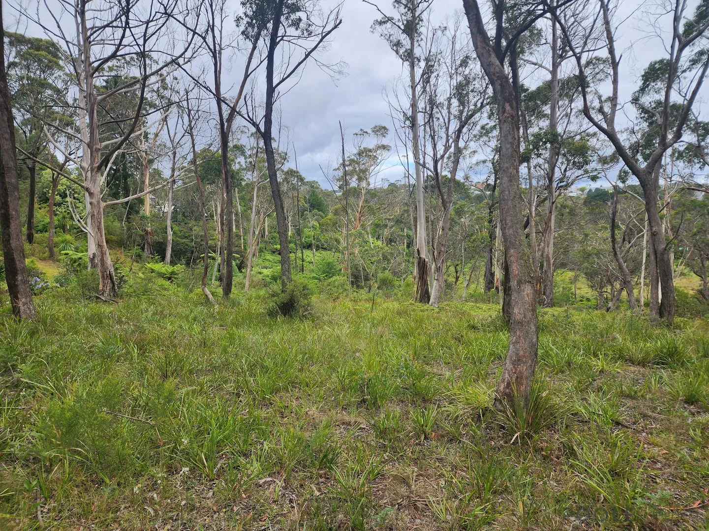 Additional image 9 of 17 Lomandra Place, Katoomba NSW 2780