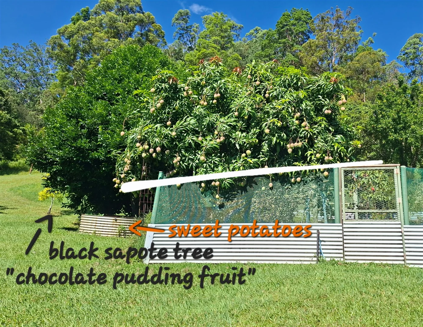 Additional image 23 of 32/265 Martin Road, Larnook NSW 2480