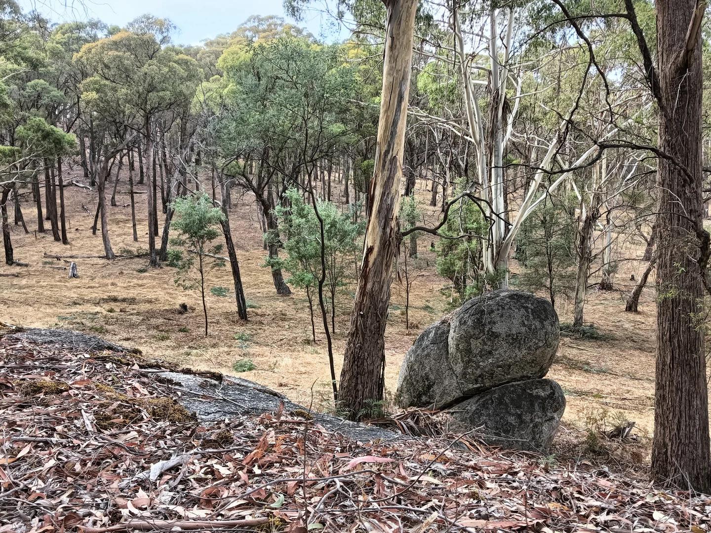 Additional image 25 of Strathbogie VIC 3666