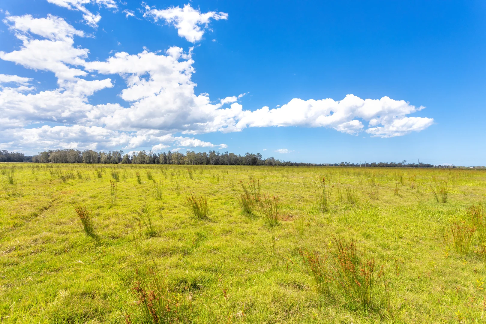 Additional image 28 of 385 Moto Road, Moto NSW 2426