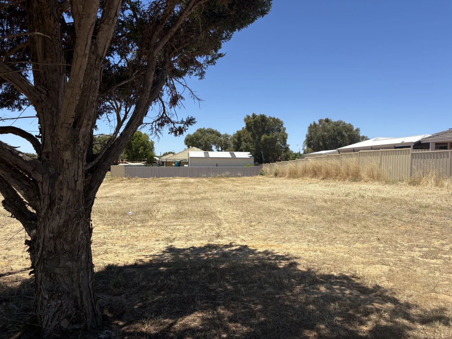 Additional image 5 of 41 Abraham Street, Karloo WA 6530