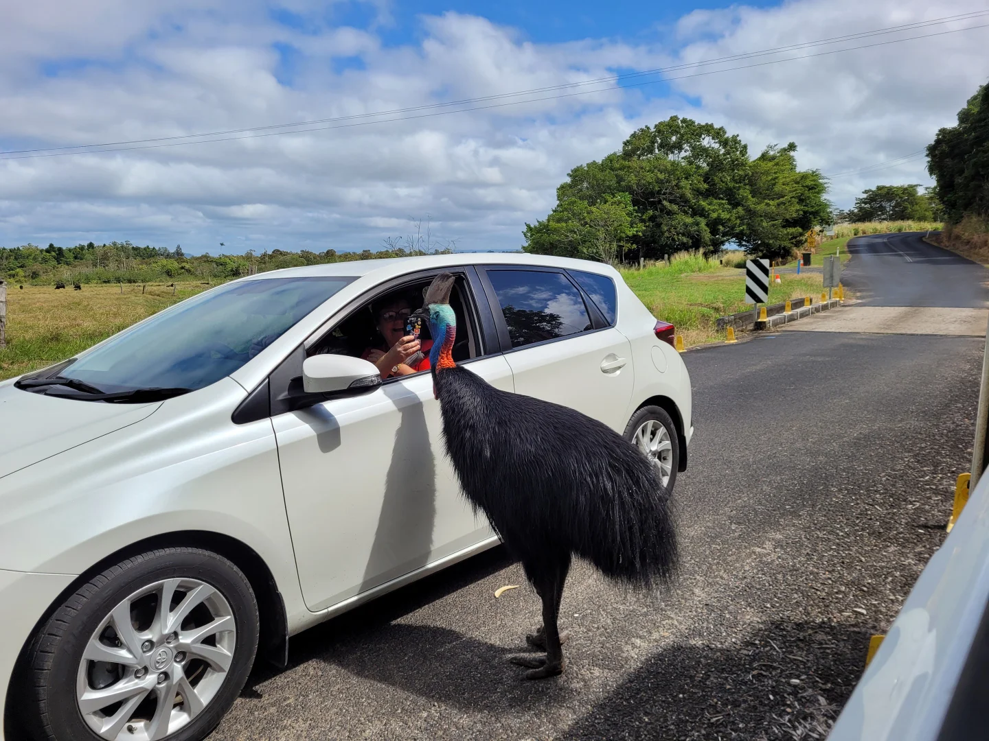 Additional image 10 of 4 Main street, Millaa Millaa QLD 4886