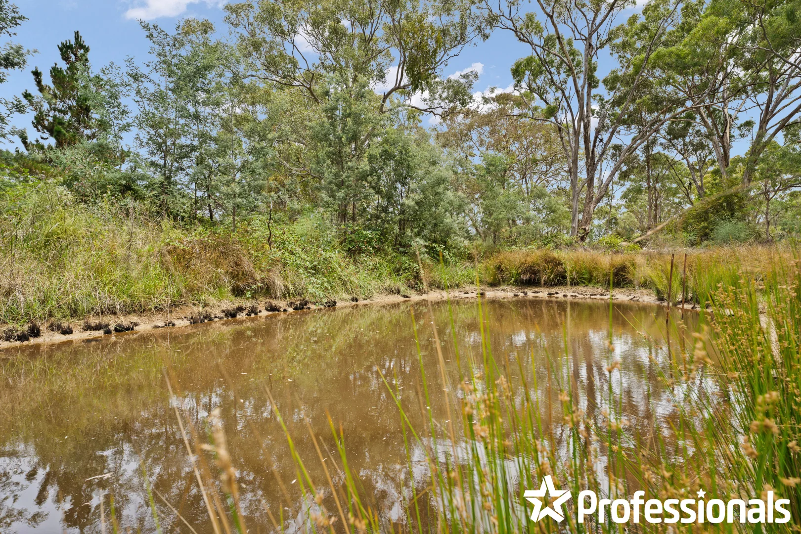 Additional image 7 of 4120 Sofala Road, Wattle Flat NSW 2795