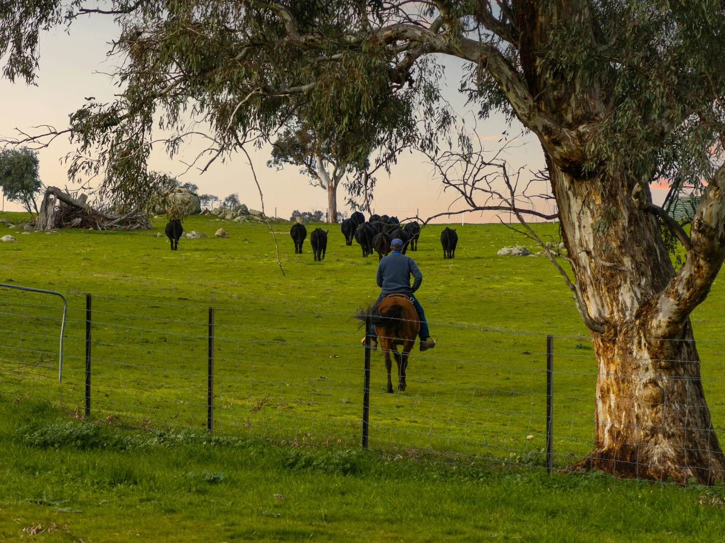 Additional image 16 of "Garratt" 597 Garratt Road, Jugiong NSW 2726