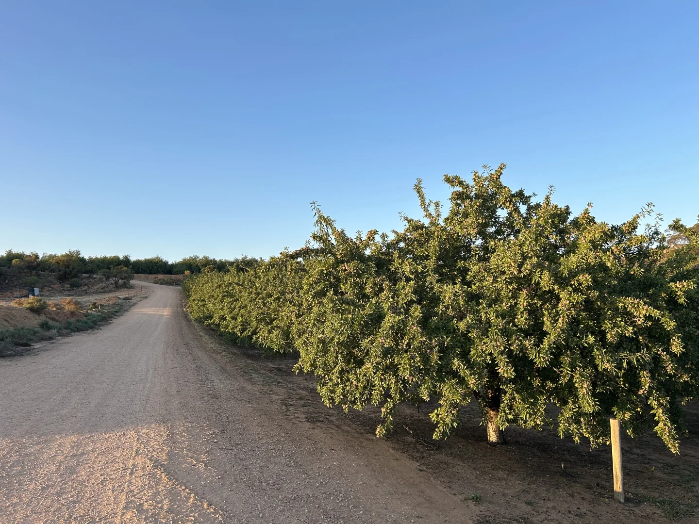 Additional image 27 of 108 Pike Creek Road, Lyrup SA 5343