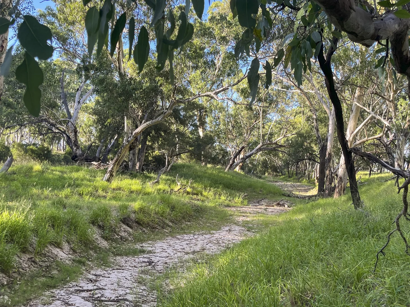 Additional image 19 of 3760 Mitchell-St George Road, Mitchell QLD 4465