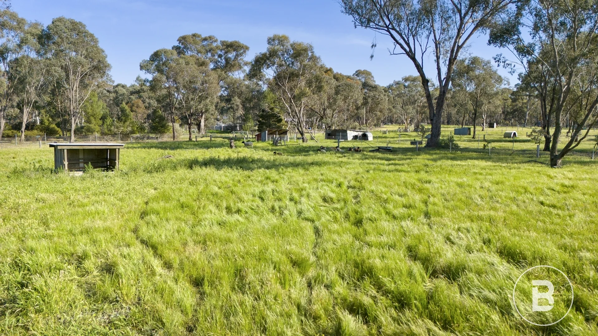 Additional image 5 of 363 Tullaroop Road, Maryborough VIC 3465