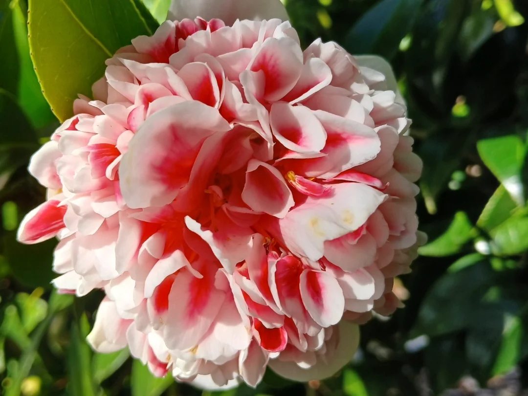 Additional image 15 of 74 Fosters Road, Wynyard TAS 7325