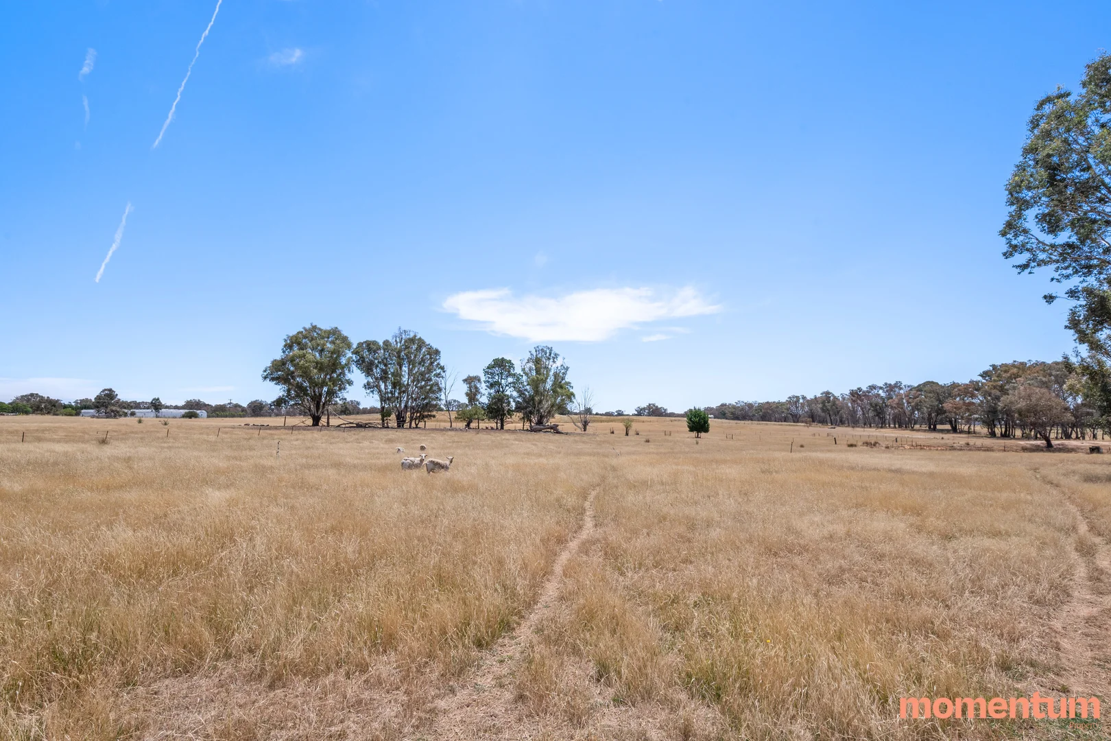 Additional image 47 of 5 Euroka Avenue, Murrumbateman NSW 2582