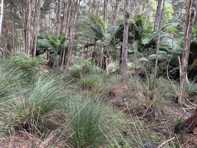 Additional image 11 of 20 Nitida Drive, Scotchtown TAS 7330