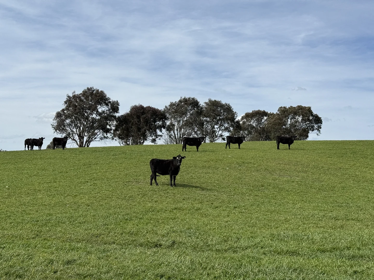 Additional image 3 of 569 & 640 Blakney Creek North Road, Blakney Creek NSW 2581