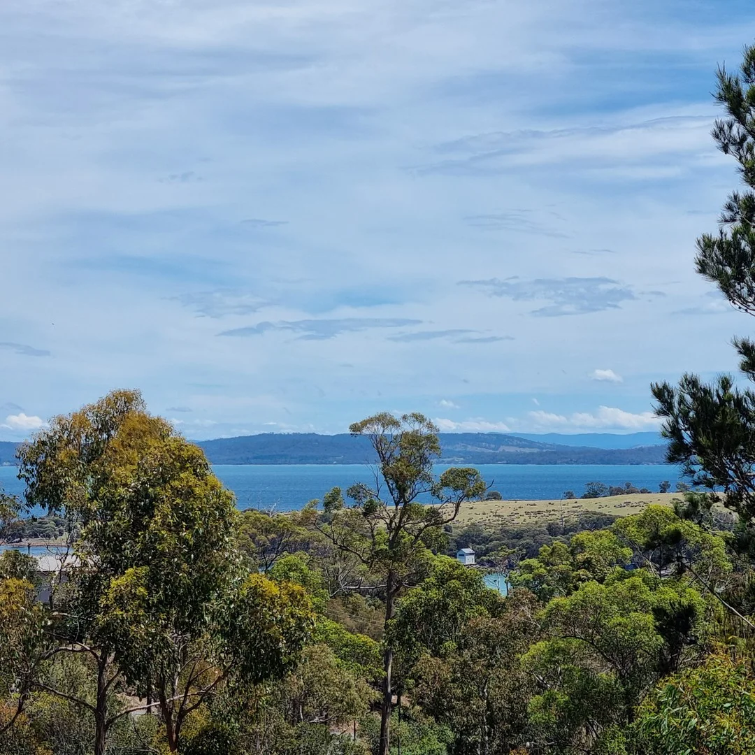 39 Reef View Road, Murdunna TAS 7178