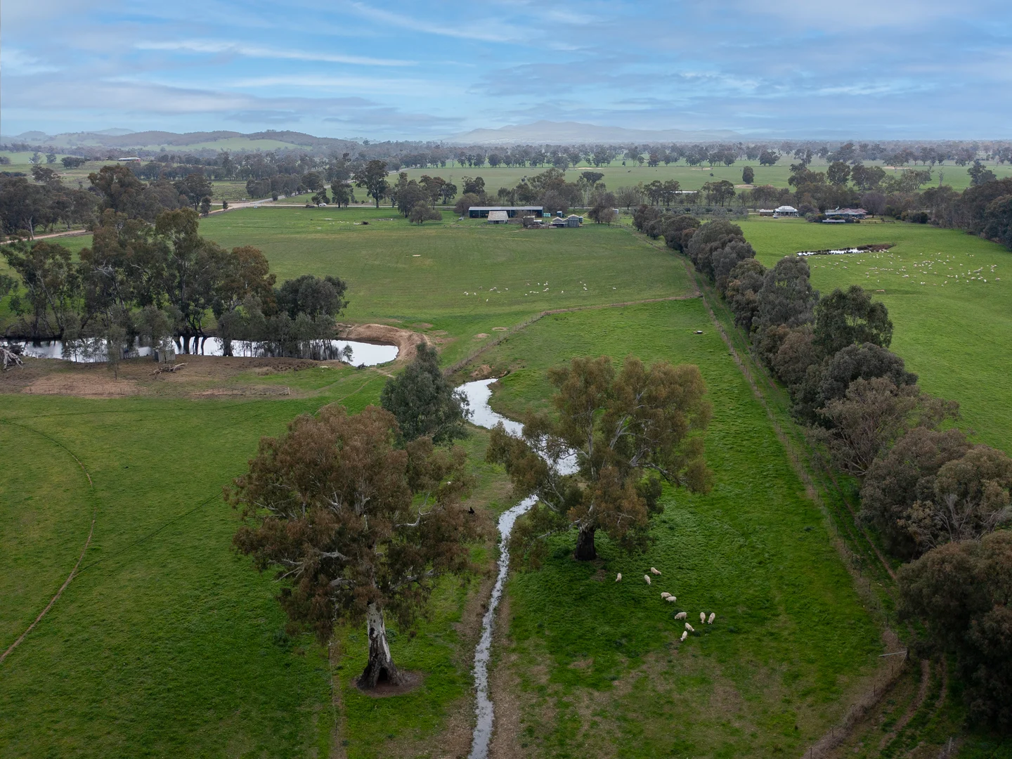 Additional image 29 of 2269 Snow Road, Markwood VIC 3678