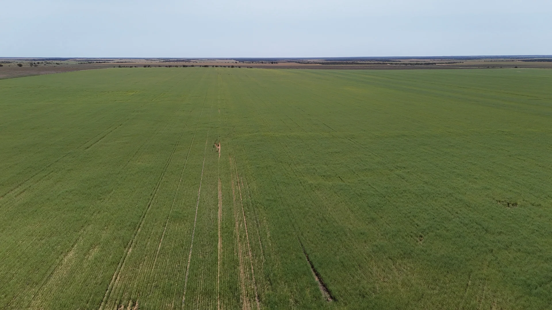 Additional image 4 of 2064 Binnu Road East, Ogilvie WA 6535