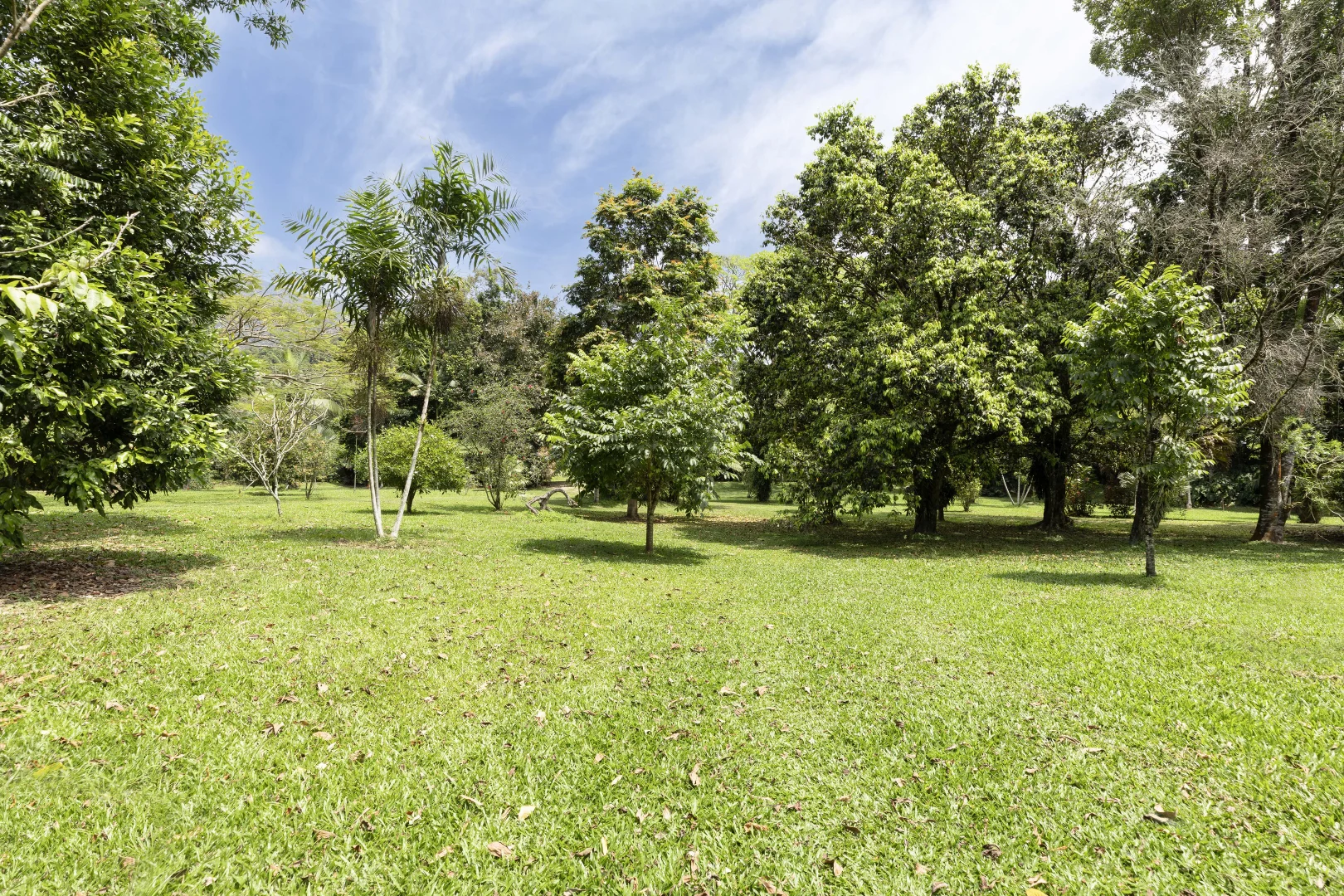 Additional image 30 of 516 Whyanbeel Road, Whyanbeel, Mossman QLD 4873