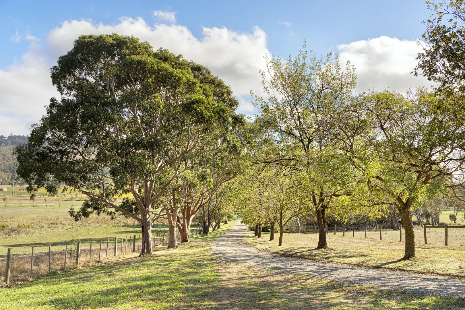 Additional image 3 of 177 Yarraview Road, Yarra Glen VIC 3775