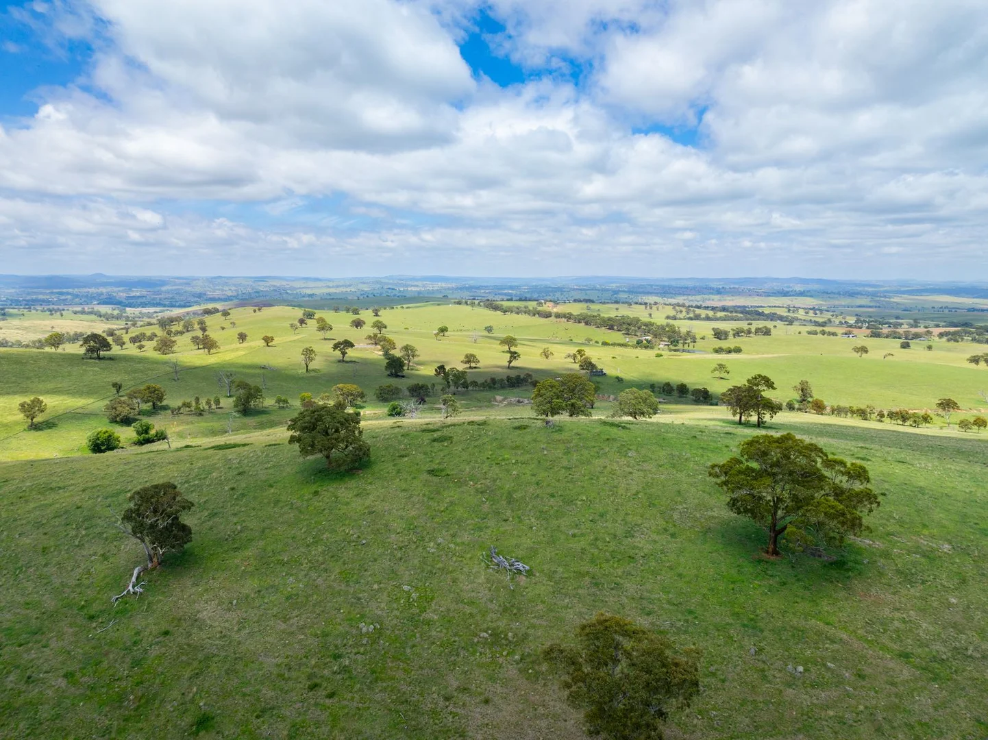 Additional image 44 of 188 Burkes Lane, Brewongle NSW 2795