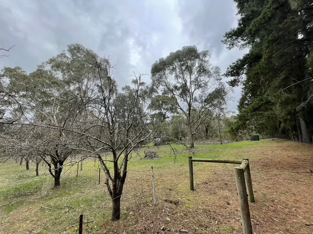 Additional image 5 of 41 Eleventh Avenue, Eden Park VIC 3757