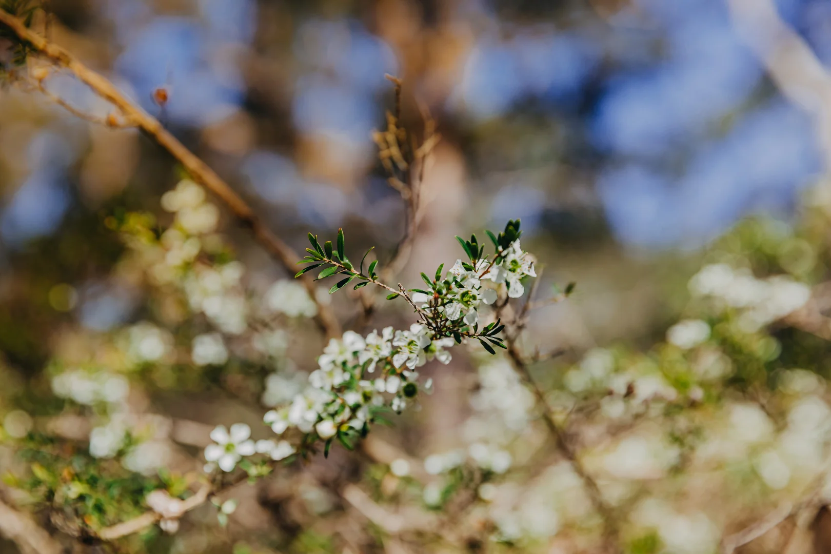 Additional image 16 of 23 Uffington Road, Duns Creek NSW 2321