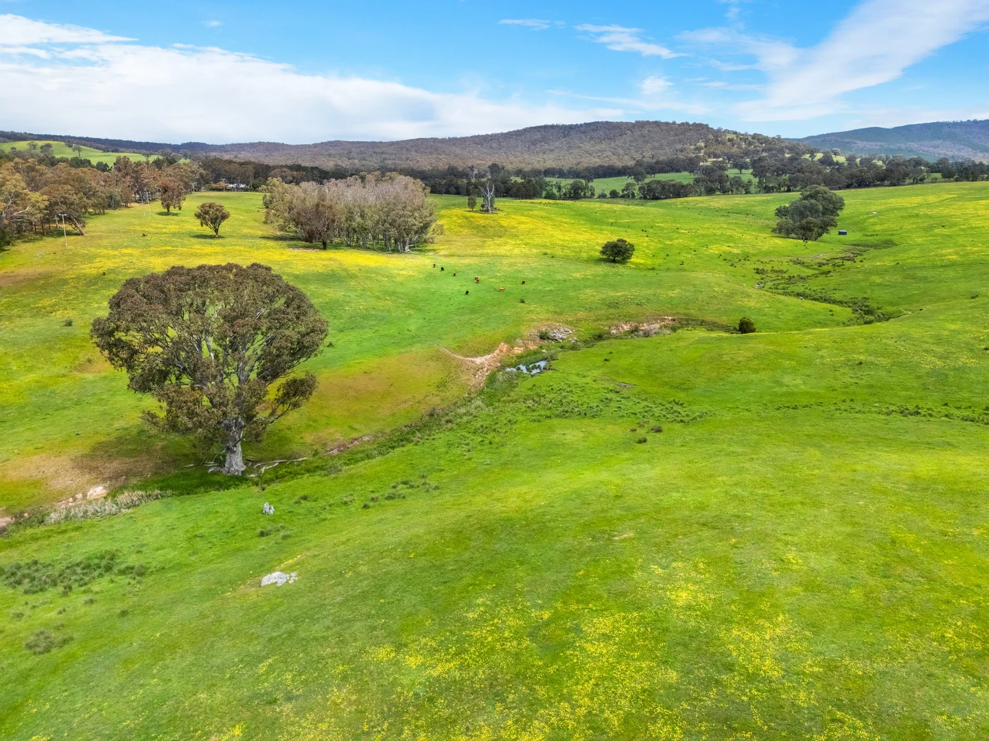 Additional image 15 of 1167 Amphitheatre Road, Mount Lonarch VIC 3468