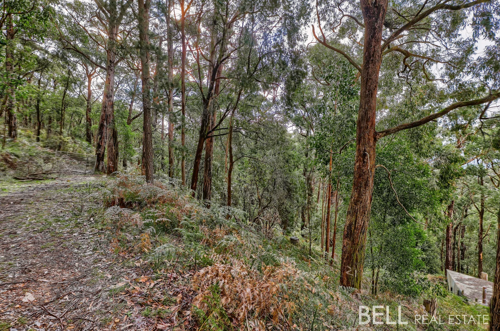 Additional image 5 of 36 Seaview Road, Cockatoo VIC 3781