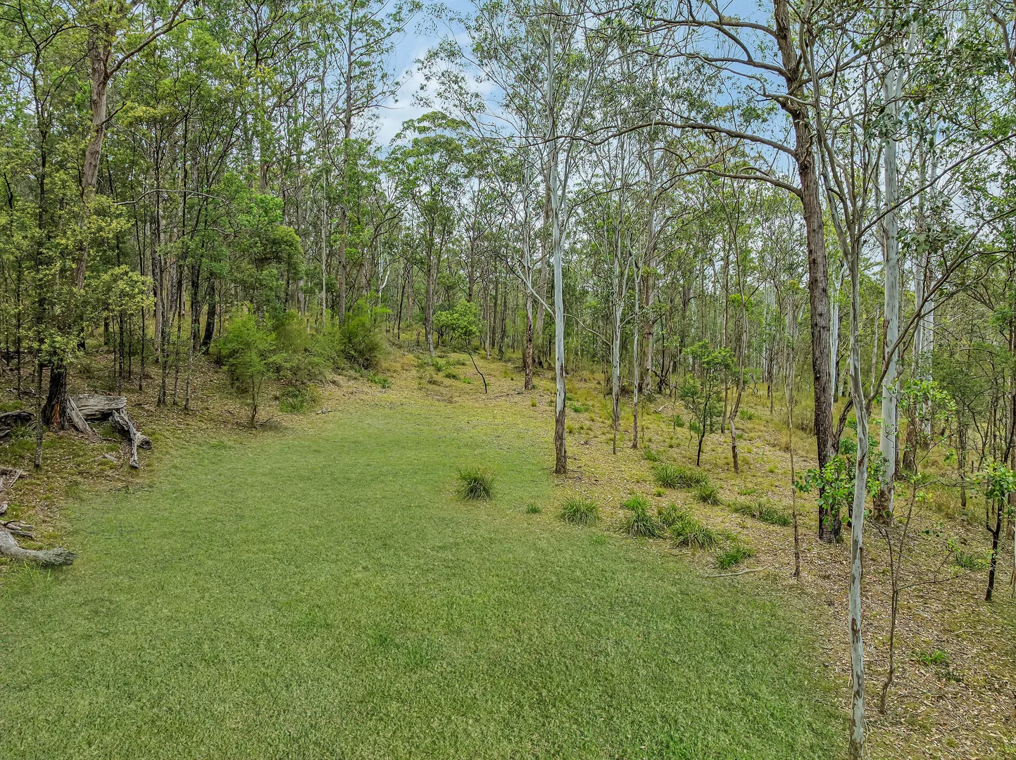Additional image 3 of 95 Rosenthal Lane, Sun Valley NSW 2777