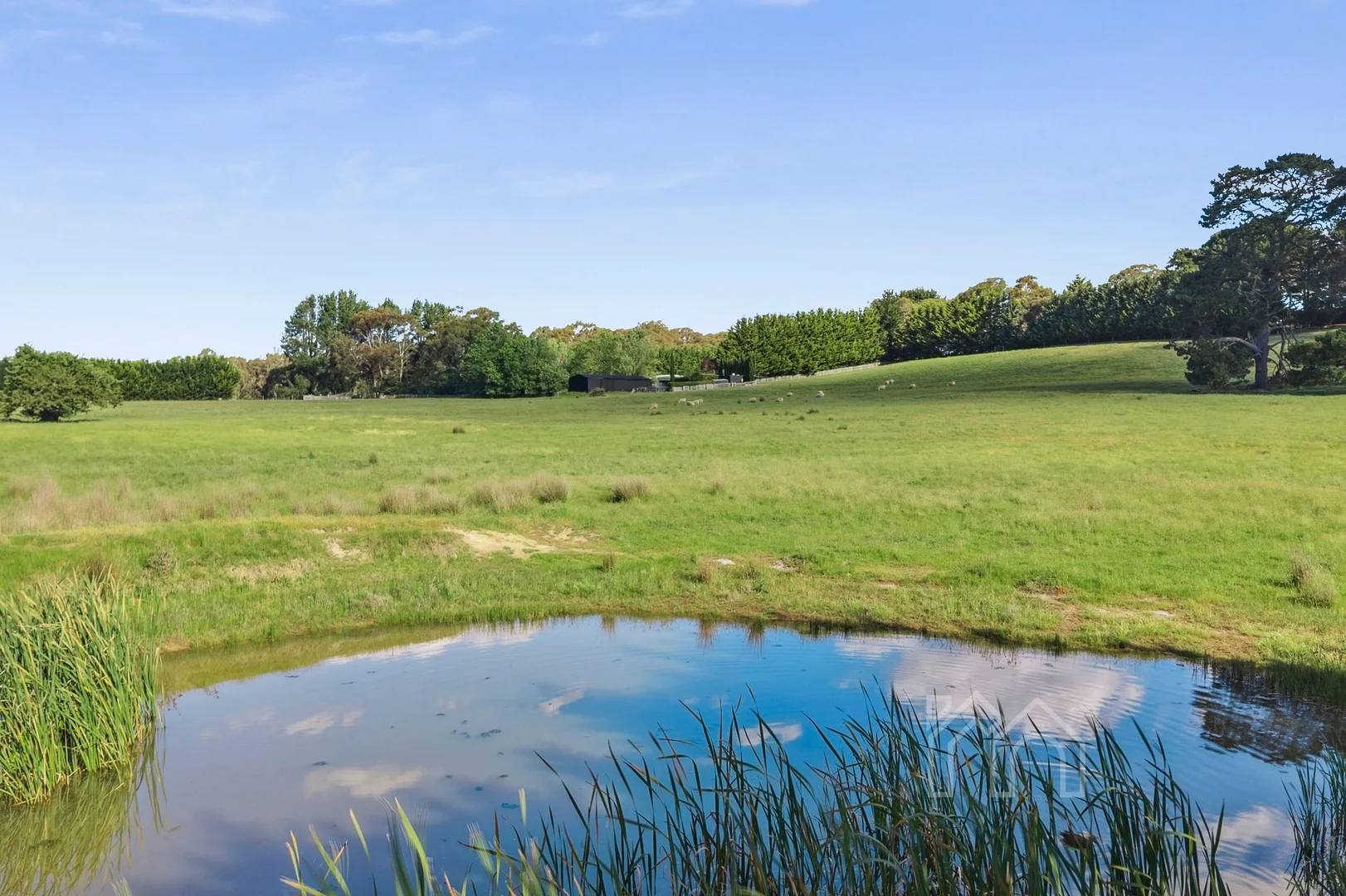 Additional image 26 of 93 Chases Lane, Carlsruhe VIC 3442