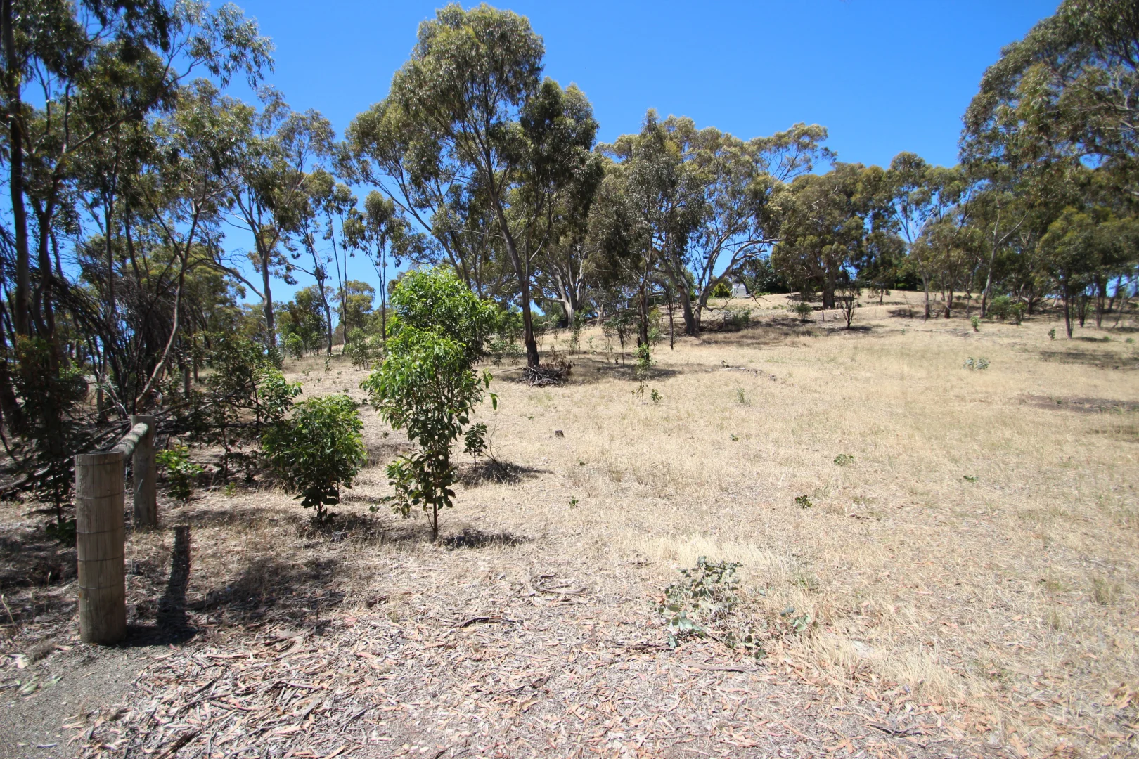 Additional image 17 of Lot 44 Norman Drive, Stanley Flat SA 5453