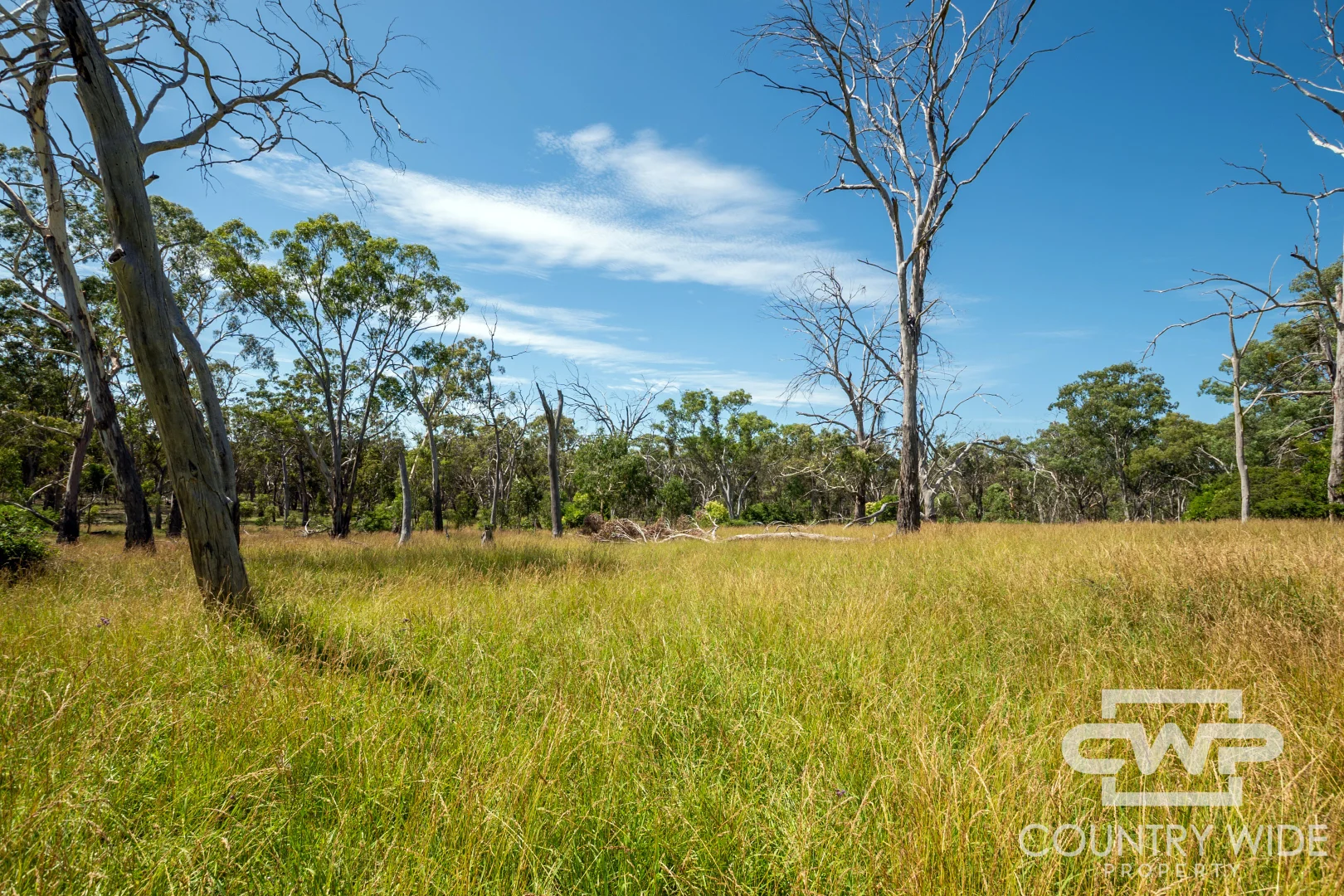 Additional image 8 of 1460 Torrington Road, Stannum NSW 2371