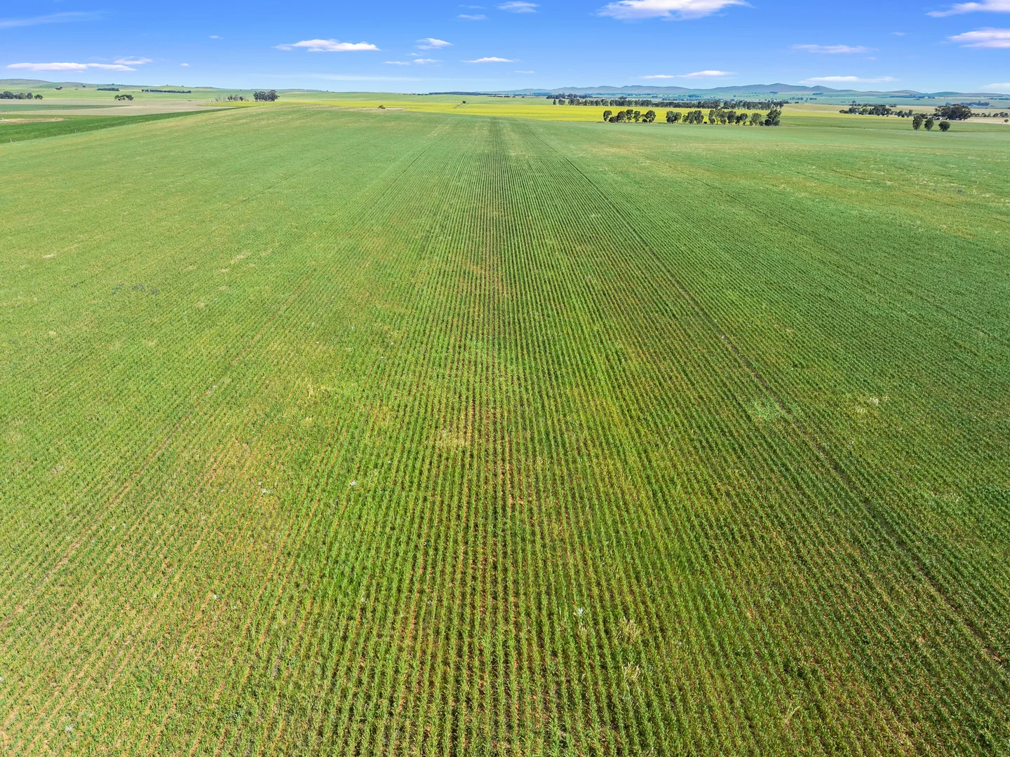 Additional image 9 of 1 Tohls Road, Booborowie SA 5417