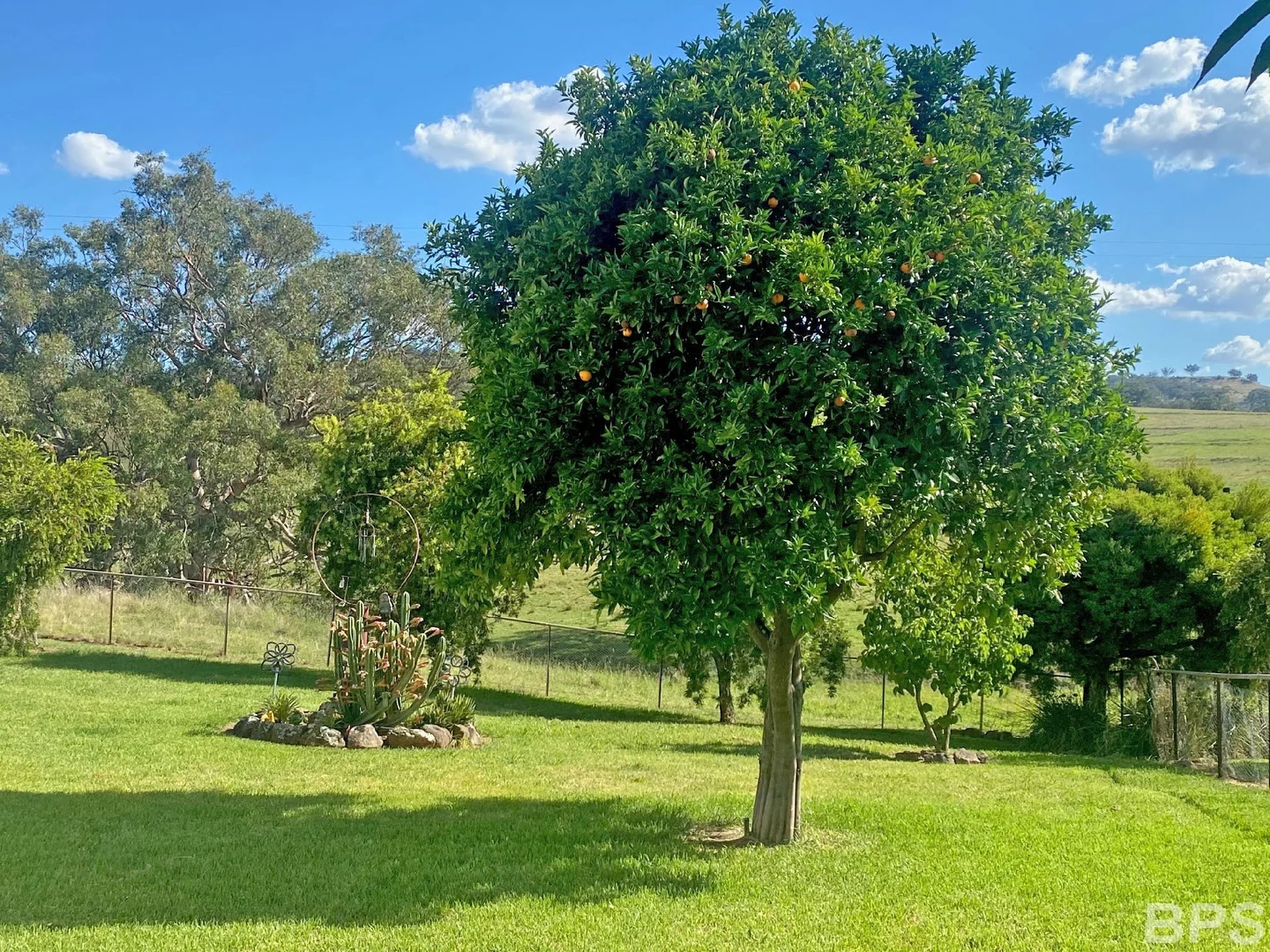 Additional image 4 of 243 Mount Lindesay Rd, Lindesay NSW 2347