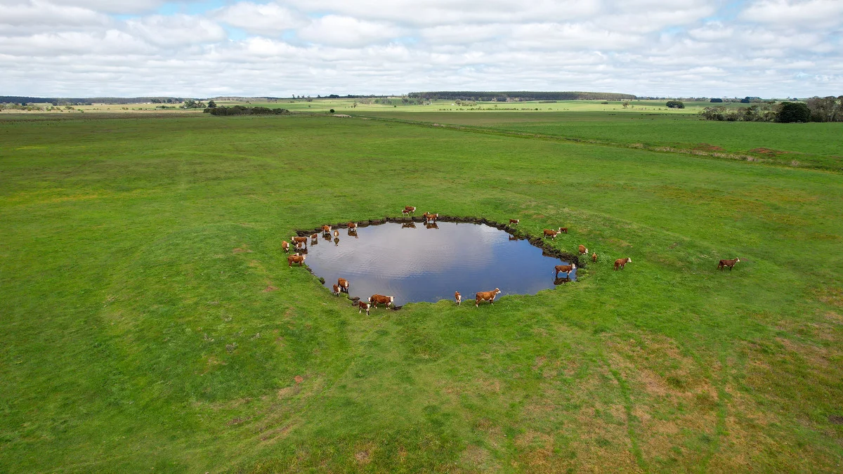 Brians Road, Breakaway Creek VIC 3303