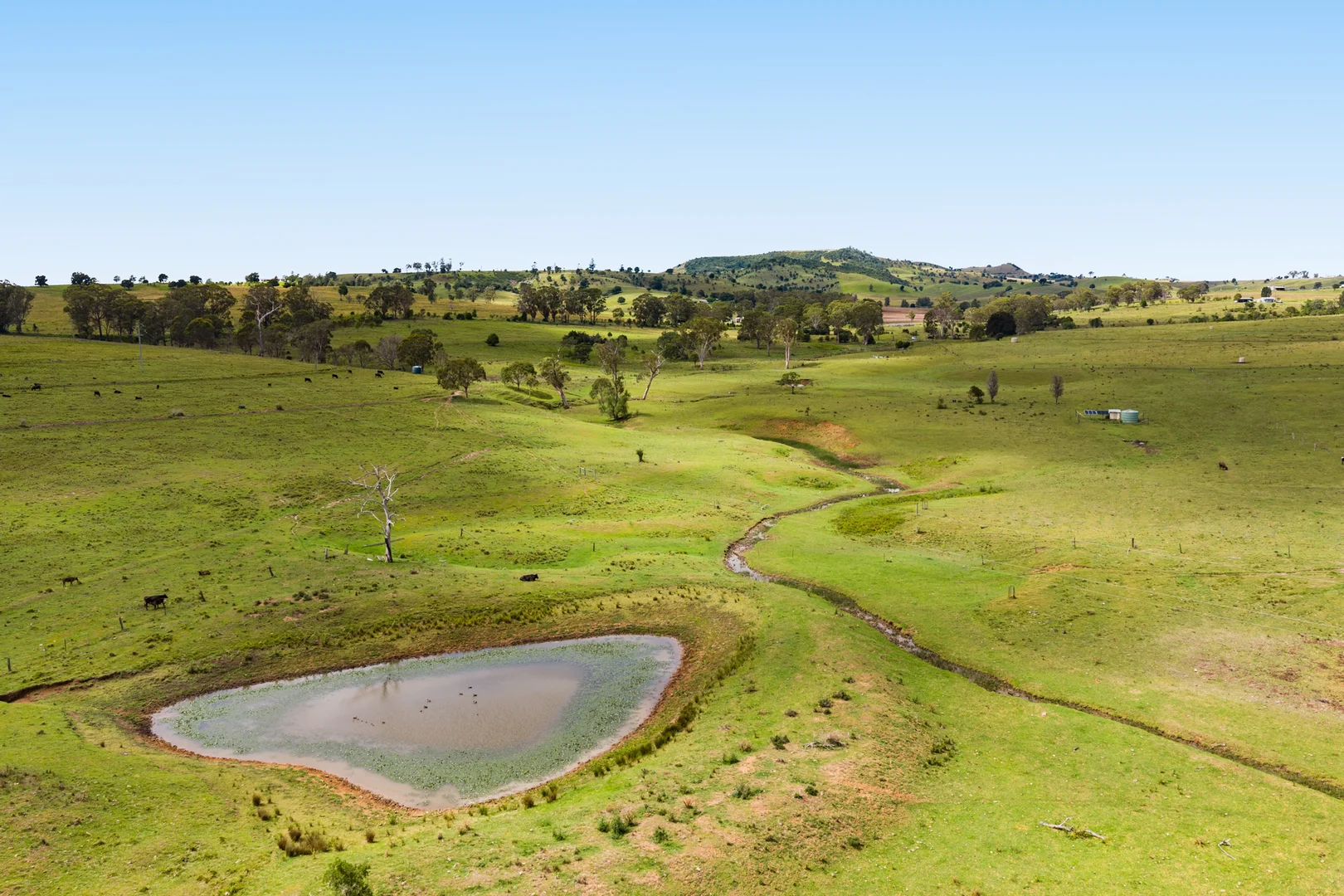 Additional image 26 of 138 Djuan Road, Crows Nest QLD 4355