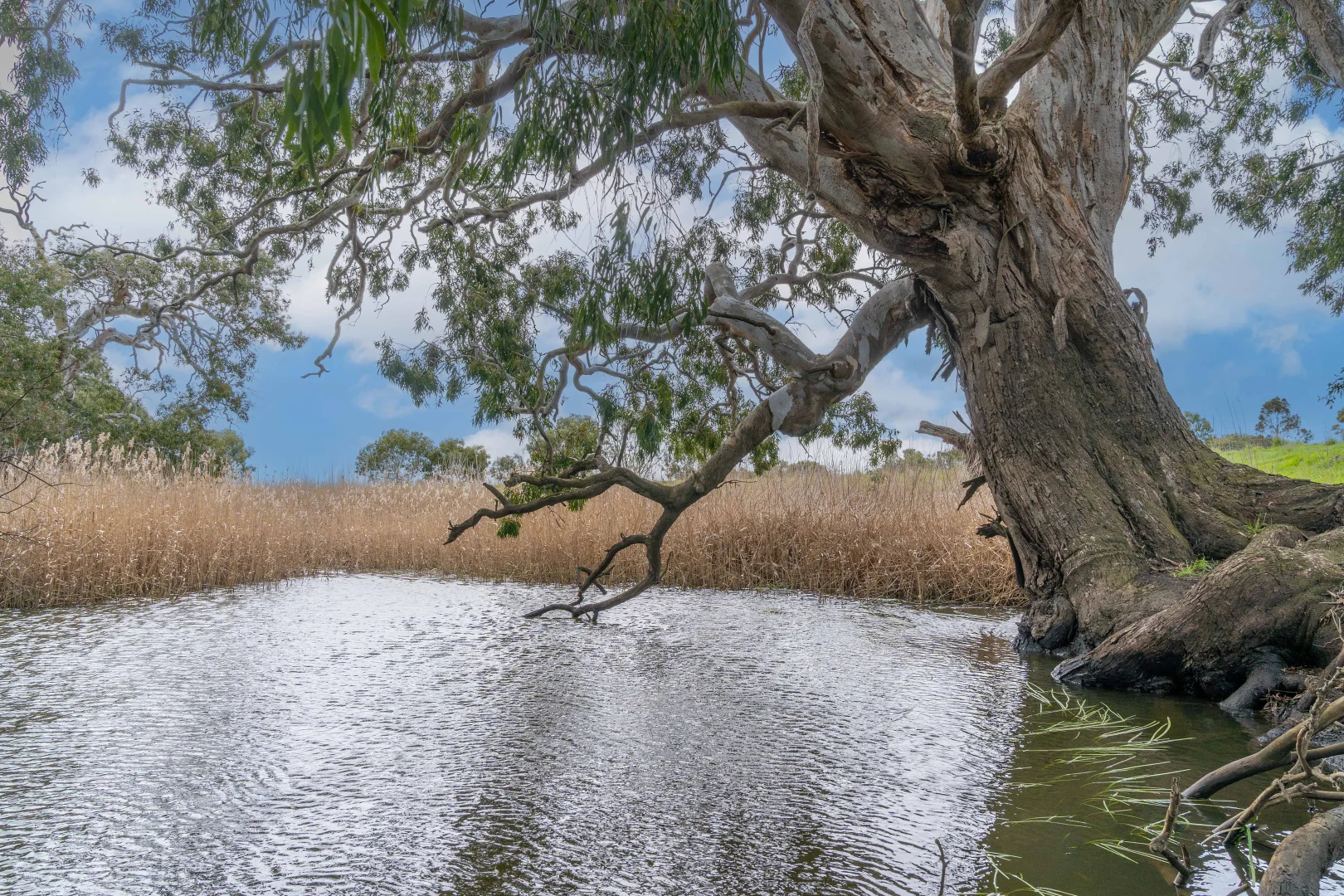 Additional image 24 of 400 Daly Road, Skipton VIC 3361