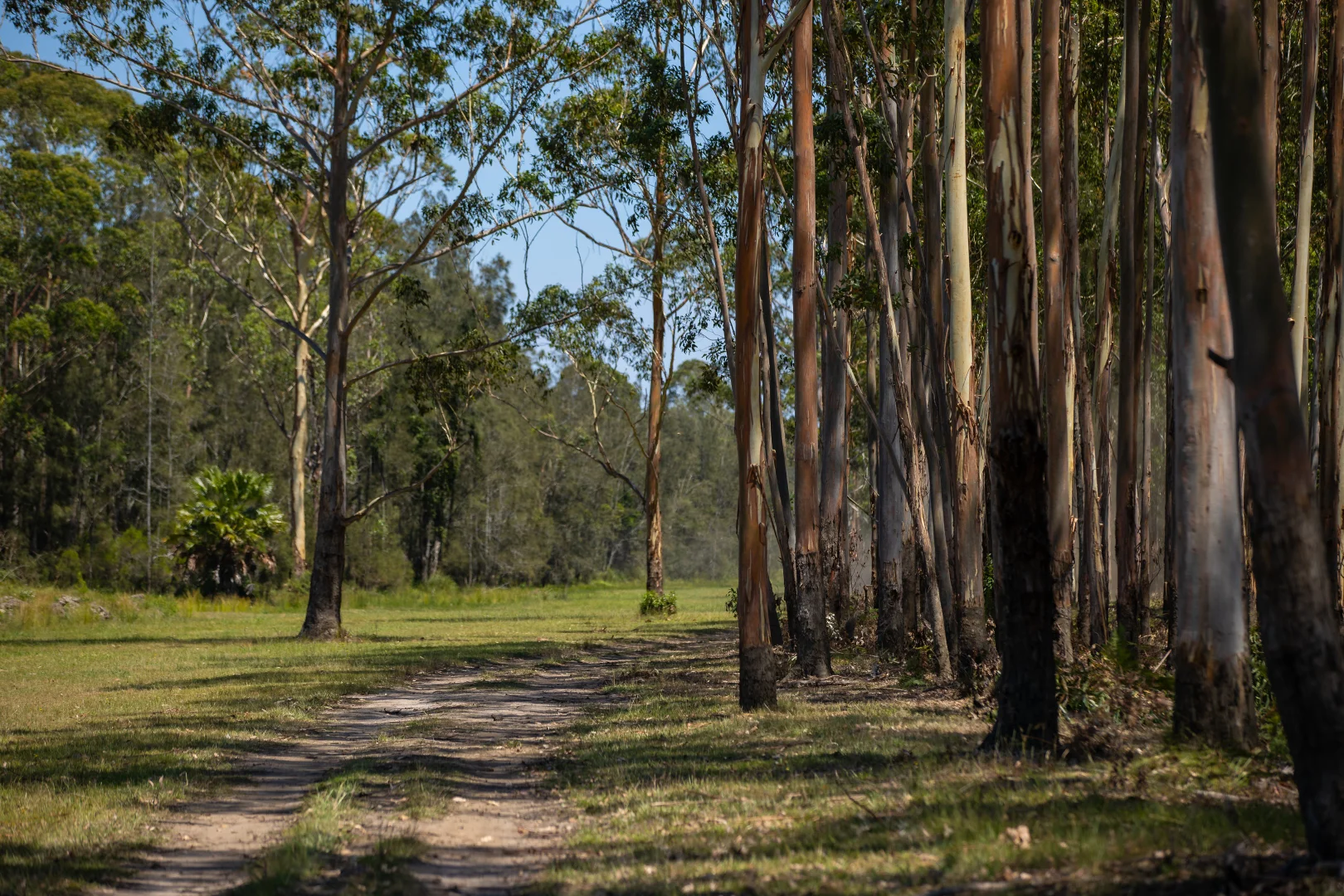 Additional image 26 of 79, 81 & 249 Elliots Road, Nabiac NSW 2312