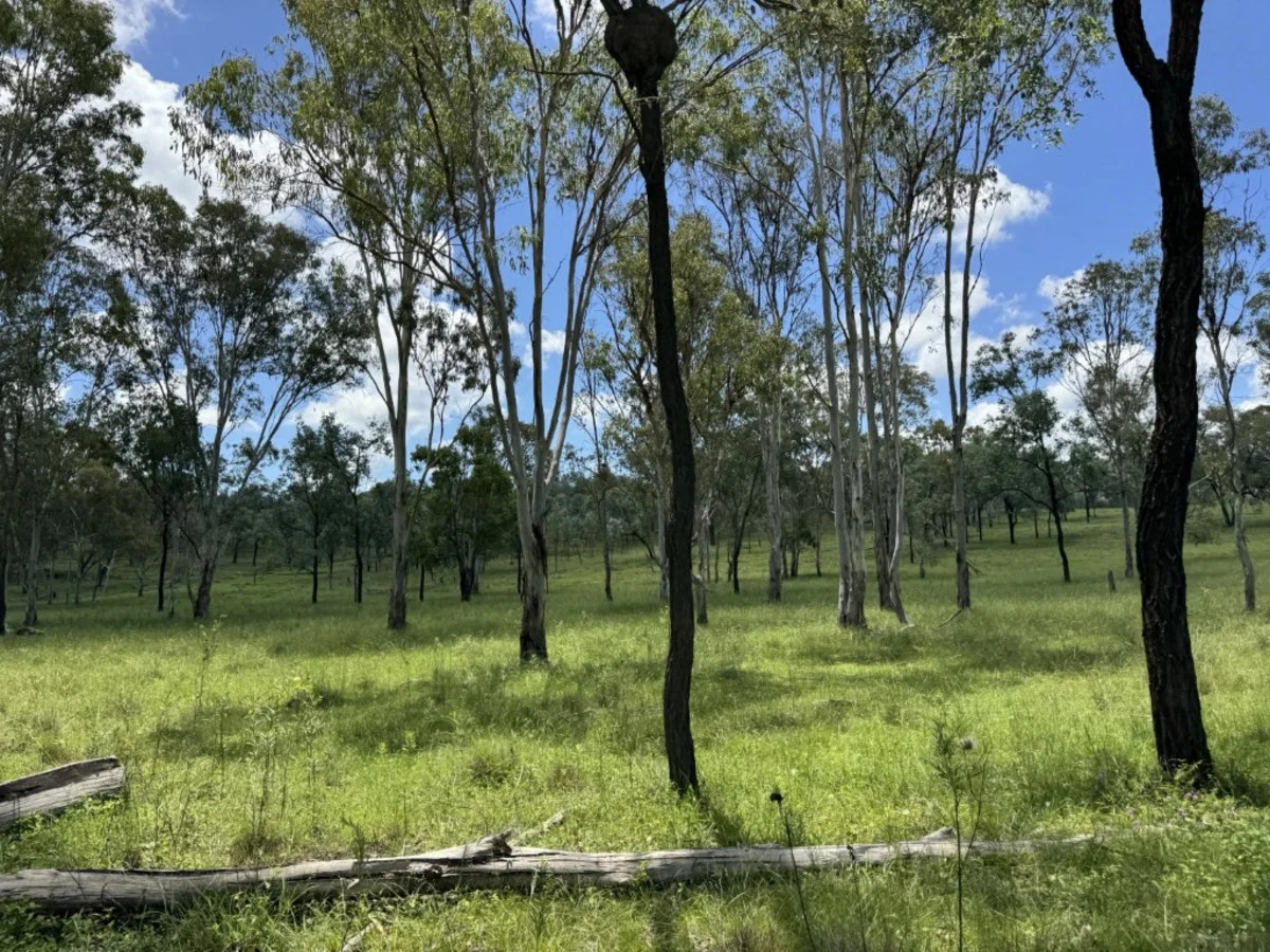 Additional image 32 of 2655 Clonmel Road, Monto QLD 4630