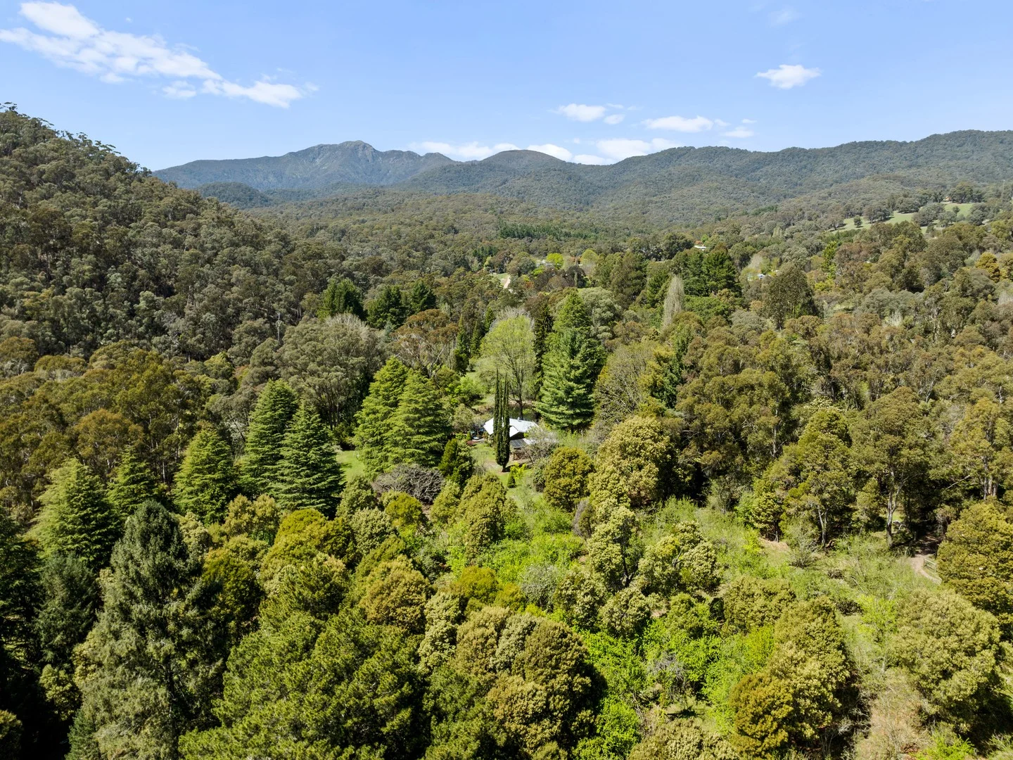 Additional image 4 of 2730 Mt Buller Road, Merrijig VIC 3723