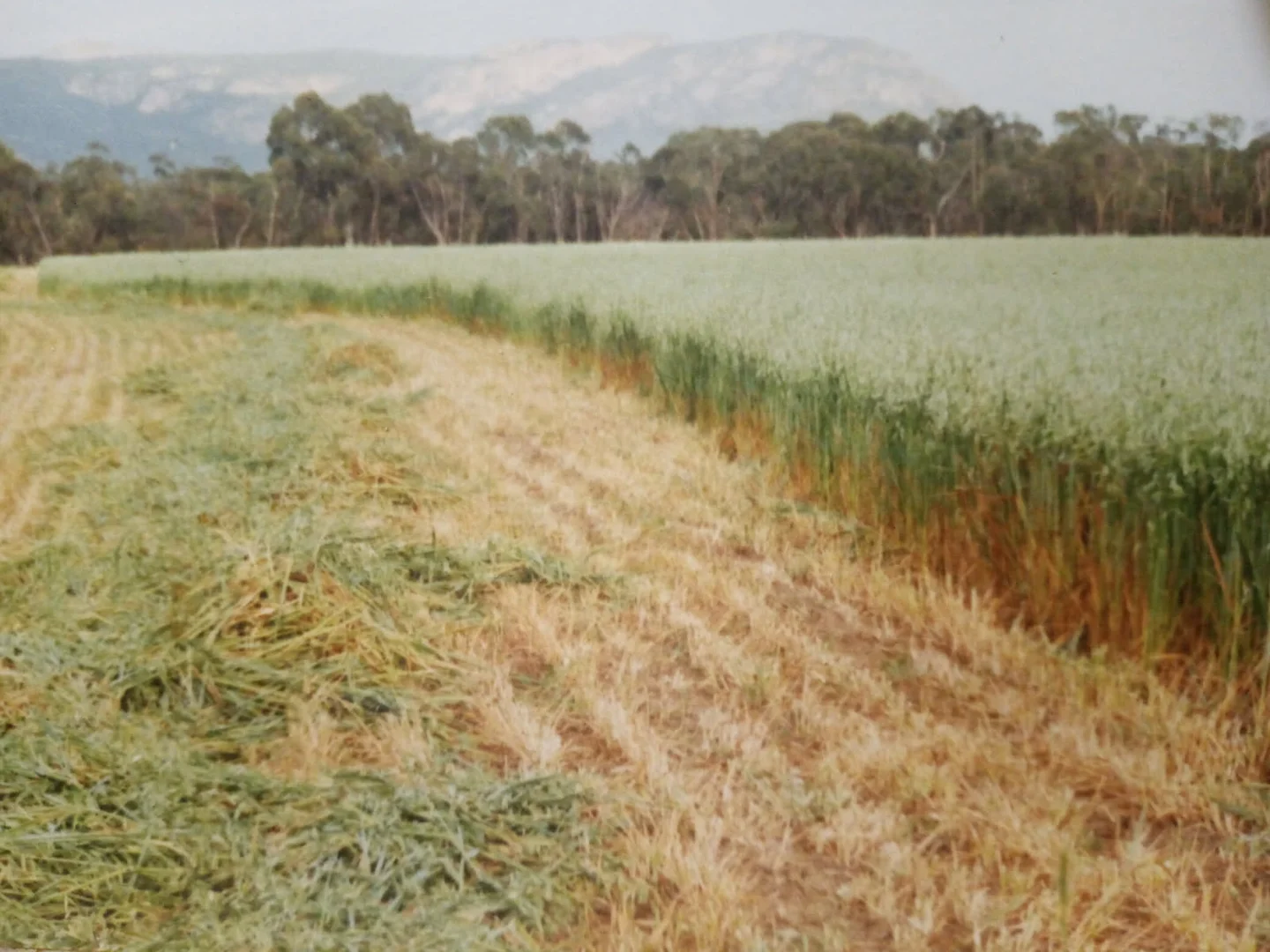 Additional image 17 of Golton South Road, Dadswells Bridge VIC 3385