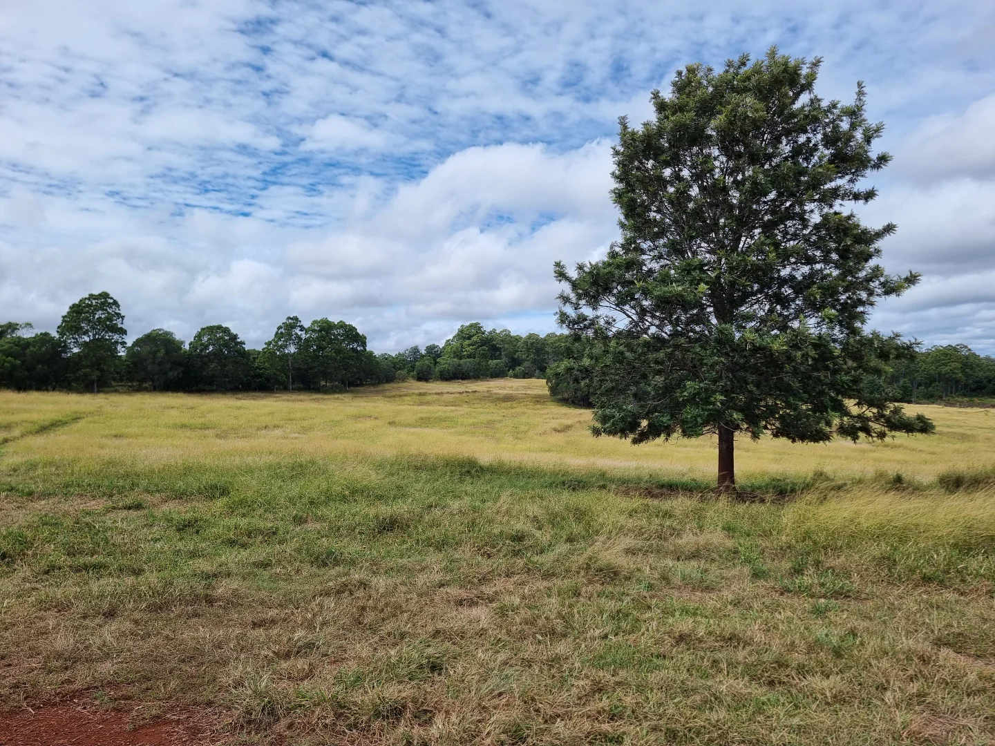 Additional image 5 of 725 Mount Mceuen Road, Wondai QLD 4606