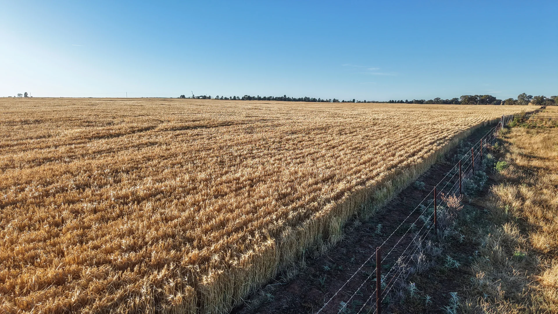 Additional image 12 of The Ranch 27R Plain Creek Road, Wongarbon NSW 2831