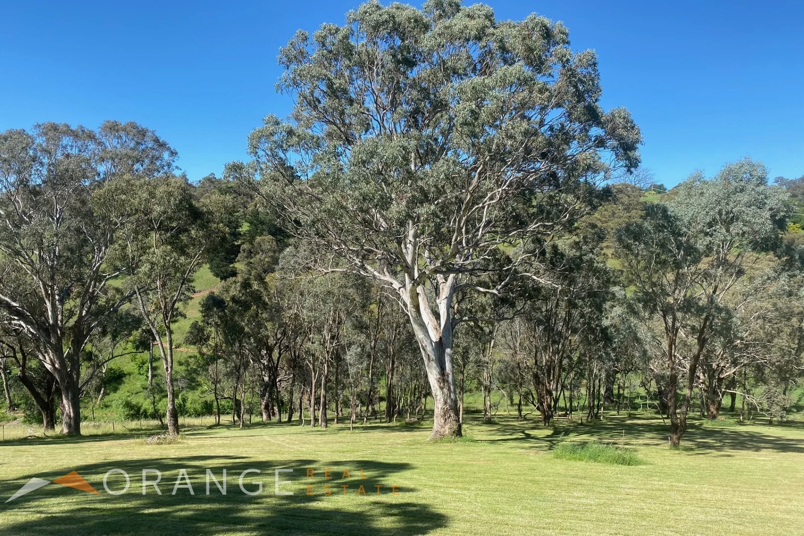 Additional image 9 of 9a Nandillion Ponds, Orange NSW 2800
