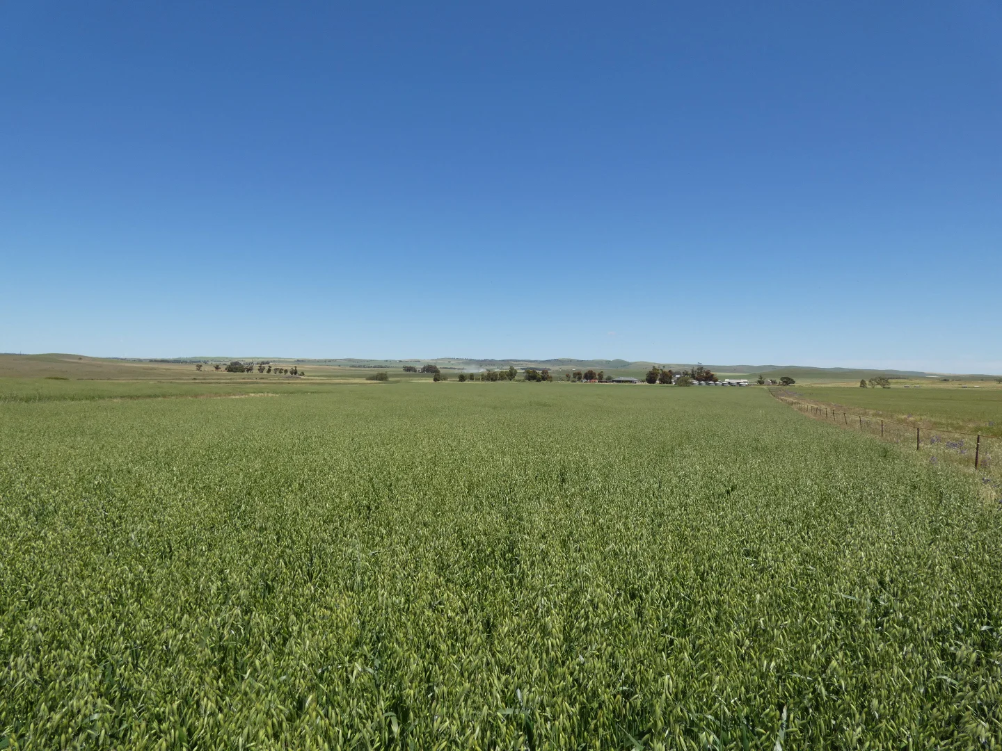 Additional image 4 of 1256 Belalie Rd, Canowie Belt SA 5420