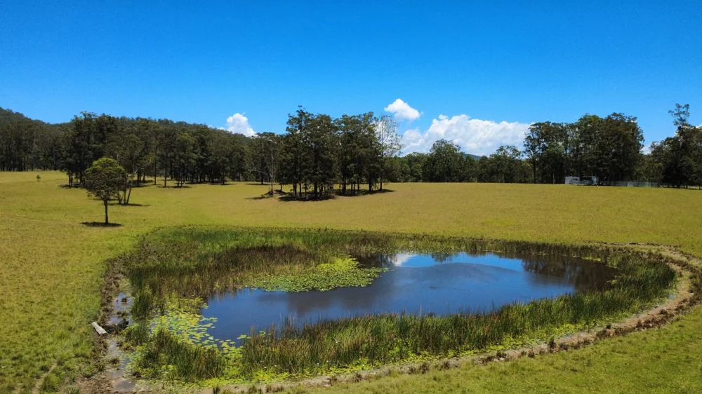 Additional image 6 of Lot 2 Upper Smiths Creek Road, Kundabung NSW 2441