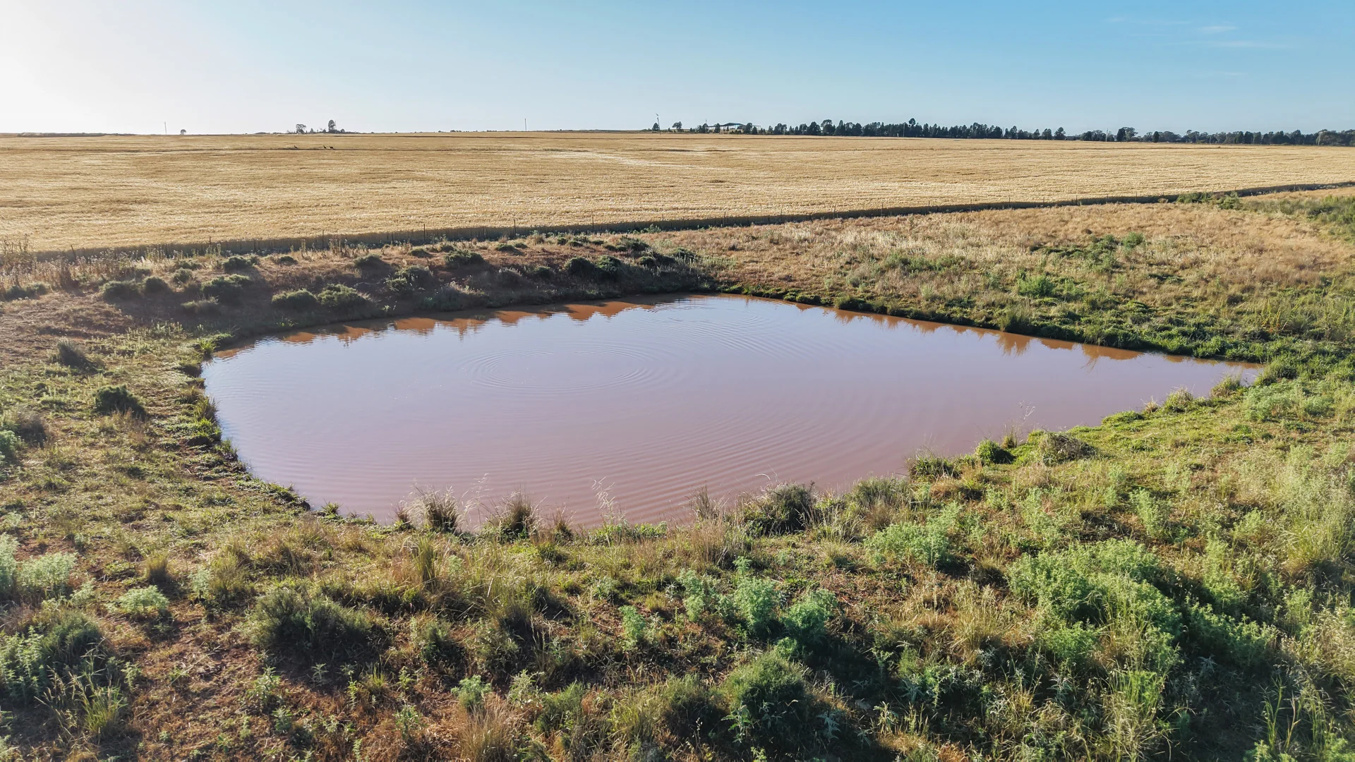 Additional image 29 of The Ranch 27R Plain Creek Road, Wongarbon NSW 2831